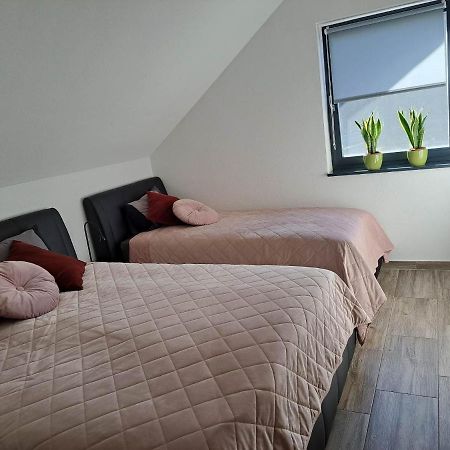 Apartmaji Tisa In Zana Rovte 外观 照片
