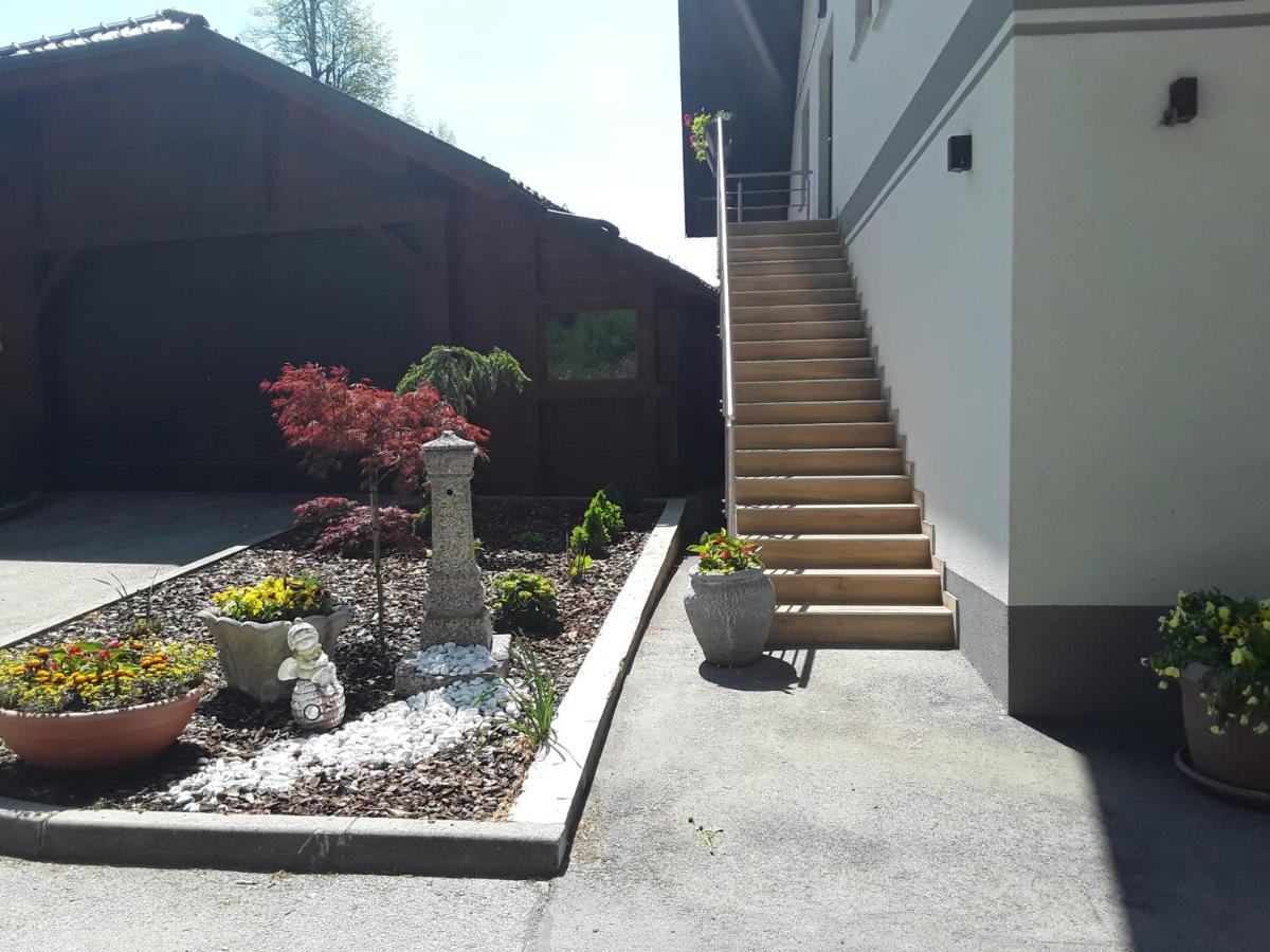 Apartmaji Tisa In Zana Rovte 外观 照片