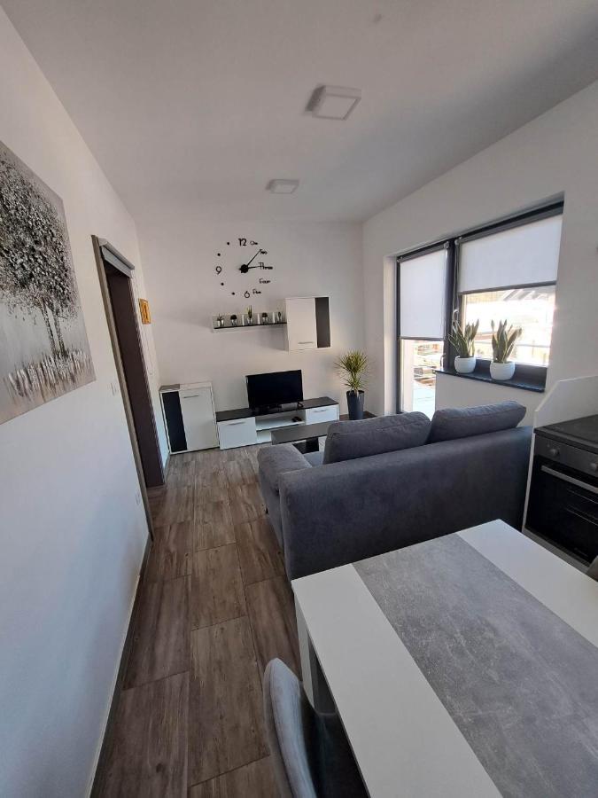 Apartmaji Tisa In Zana Rovte 外观 照片