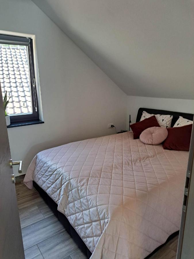 Apartmaji Tisa In Zana Rovte 外观 照片