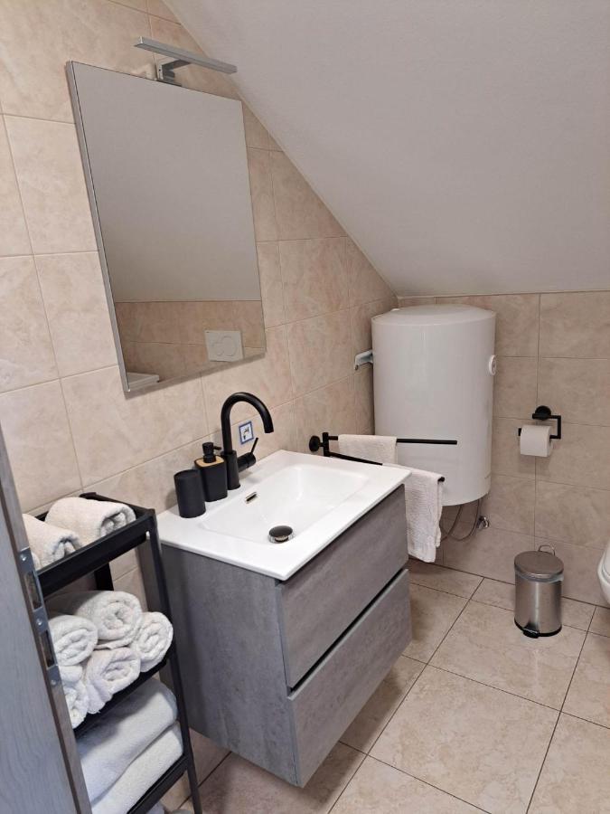 Apartmaji Tisa In Zana Rovte 外观 照片